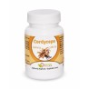 Cordyceps 100tbl