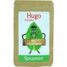 Xylitolové žuvačky spearmint  42g   HUGO